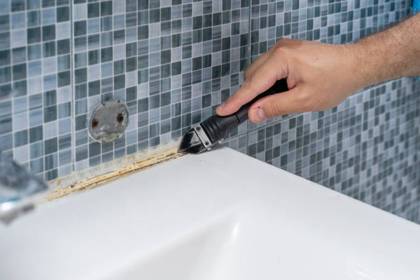 Trusted Palos Park, IL Mold Removal Experts