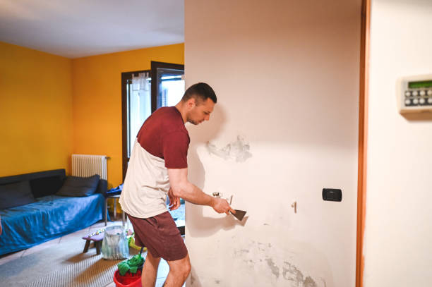 Best Attic Mold Removal  in Palos Park, IL